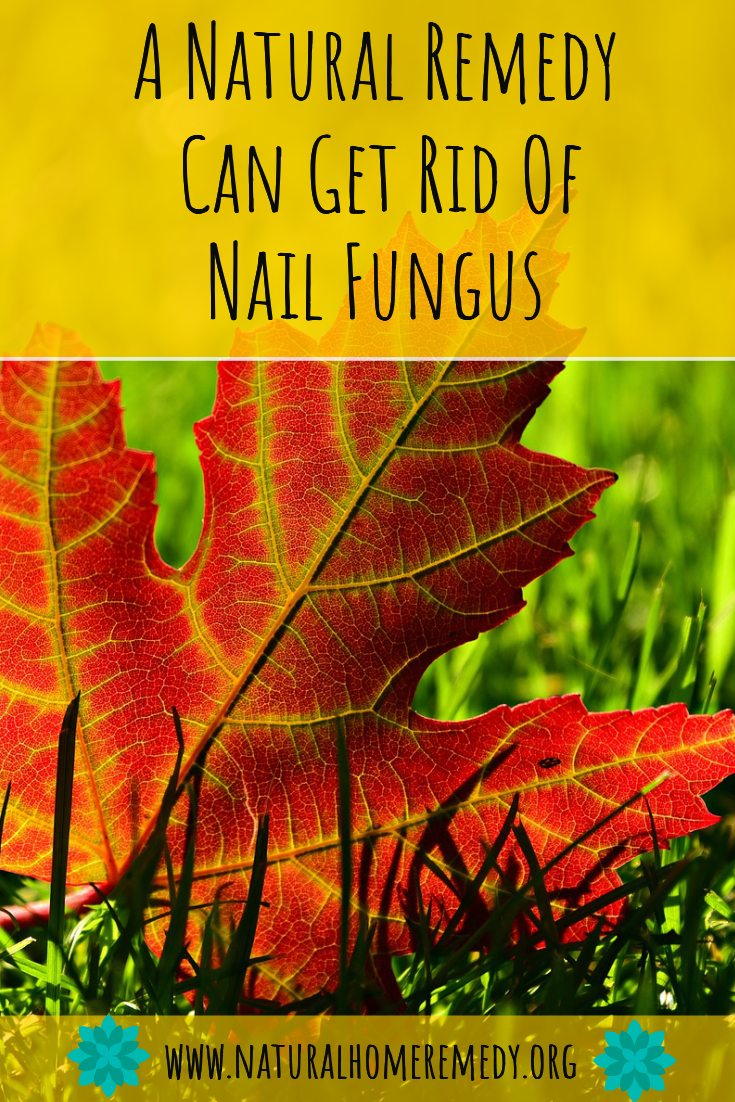 Home Remedy For Nail Fungus
